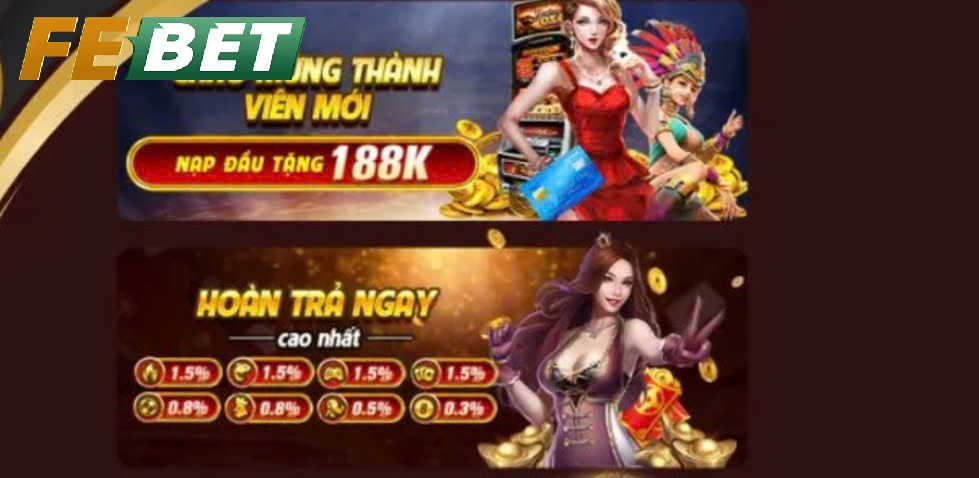 Hoàn trả hấp dẫn