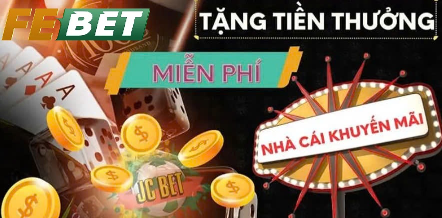 Những Điểm Nổi Bật Febet